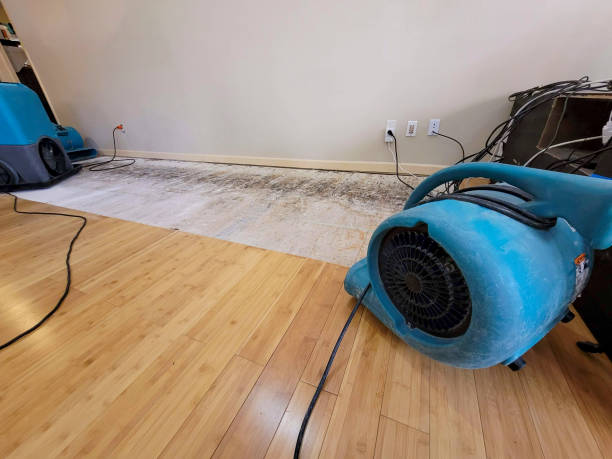 Professional Burst Pipe Water Damage technician working in Hilo, HI